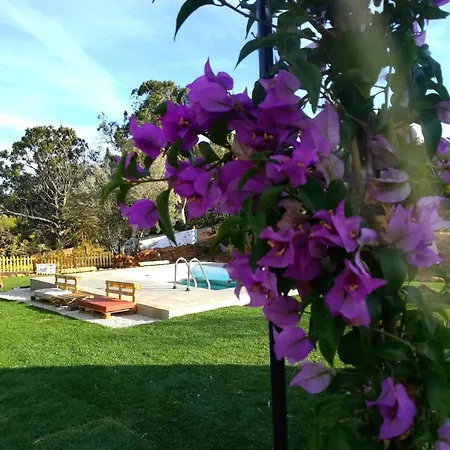 Casa Da Oliveira - 2 Bedrooms In לאגוּ‏ש