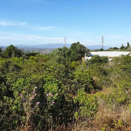 Konukevi Casa Da Oliveira - 2 Bedrooms In Lagos