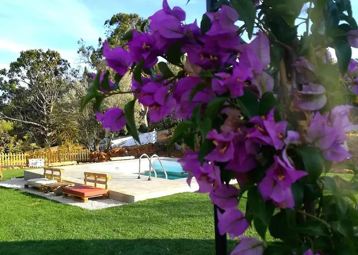 Casa Da Oliveira - 2 Bedrooms In Lagos